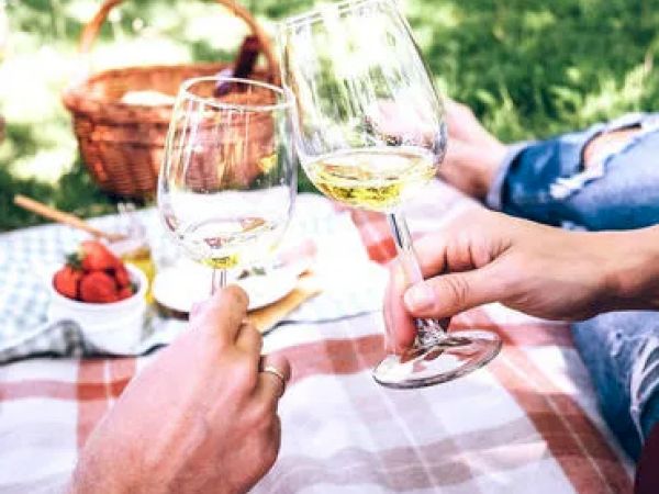 Two people clinking wine glasses during a picnic; a basket and strawberries are visible in the background on a checkered blanket.